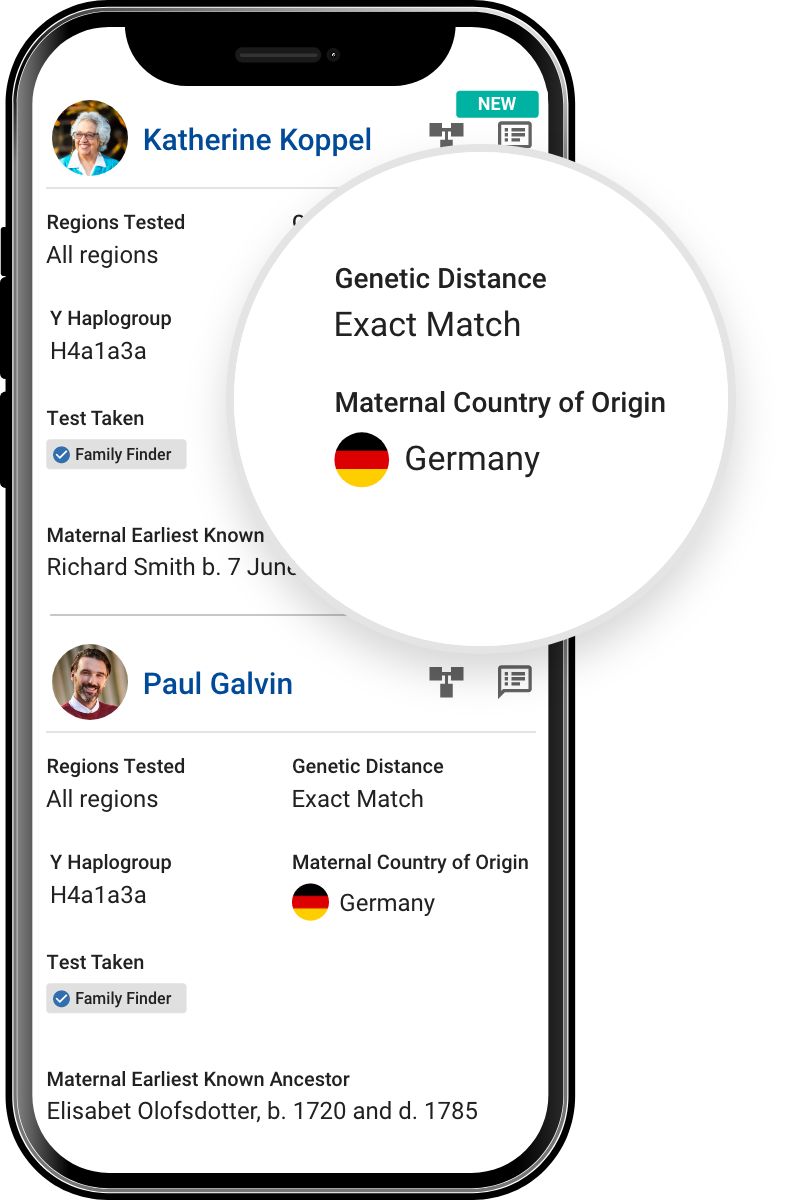 mtDNA Relatives