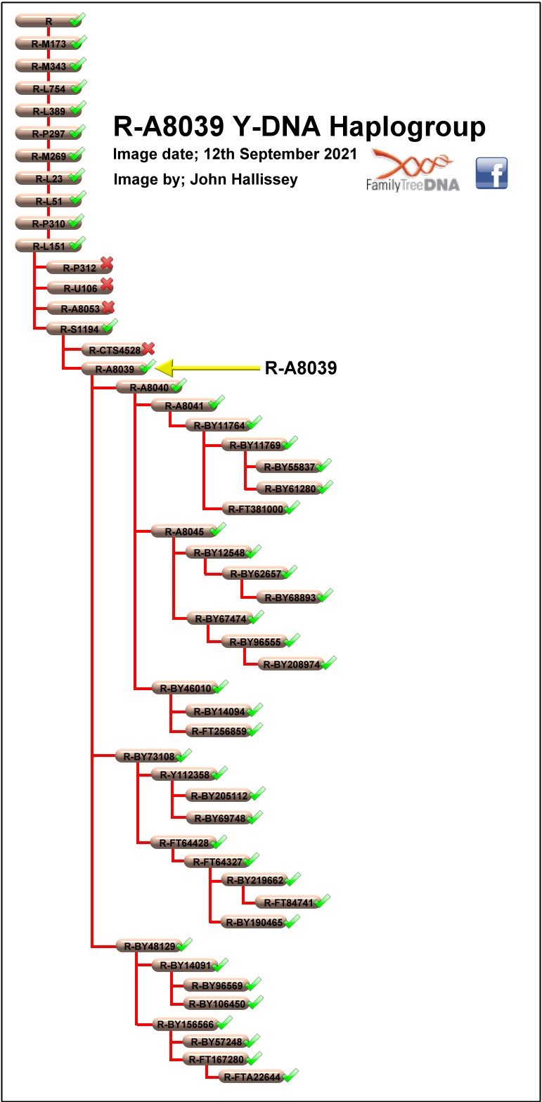 Haplogroup R-A8039