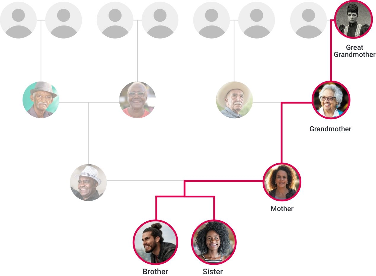 mtDNA is passed down from biological females